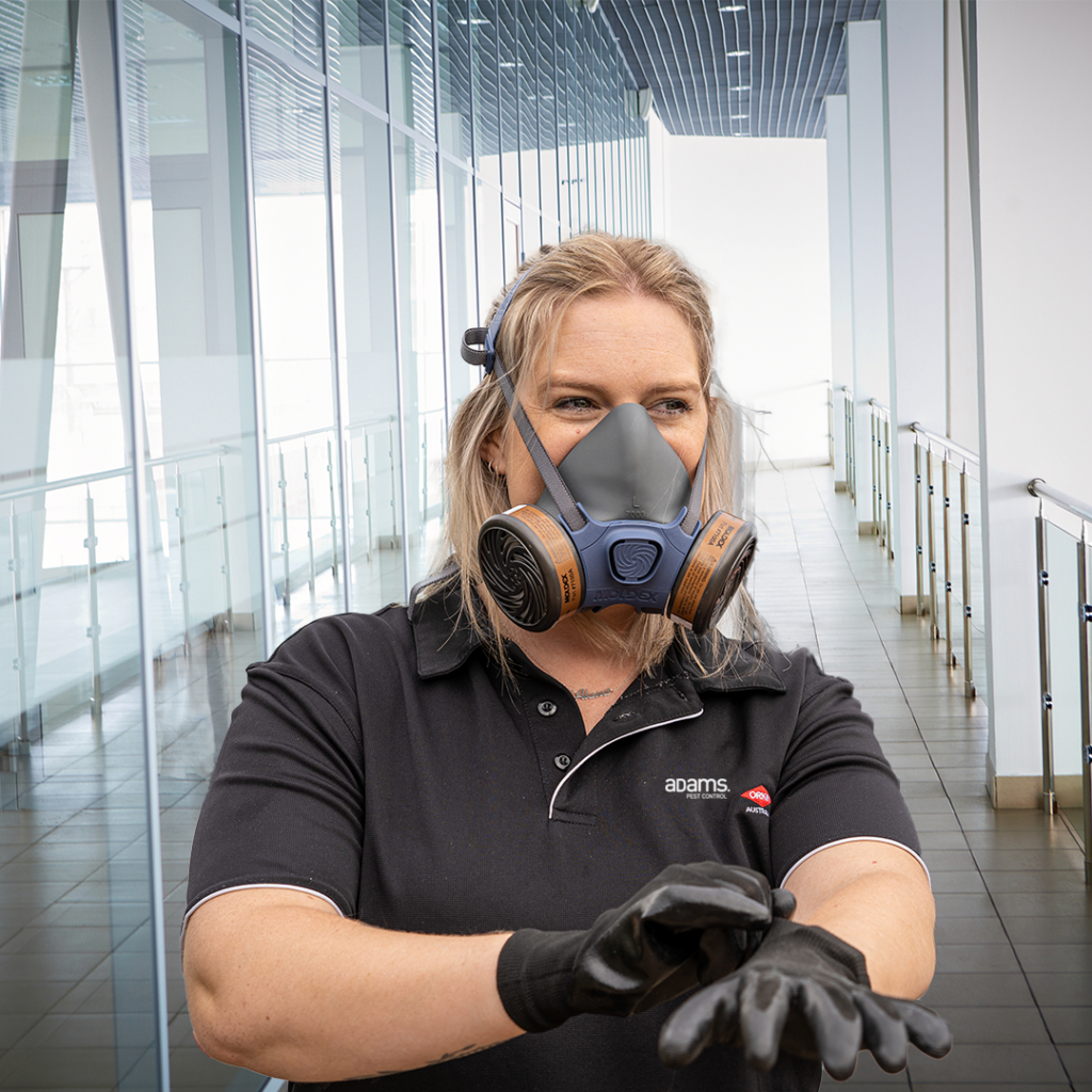 Government Buildings Adam Pest Control