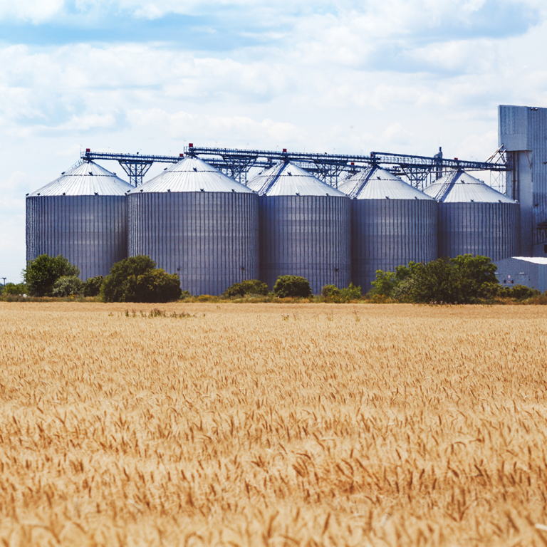 grain-farm-pest-control