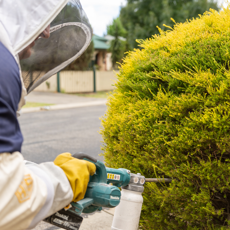 recreational-area-man-pest-exterminating