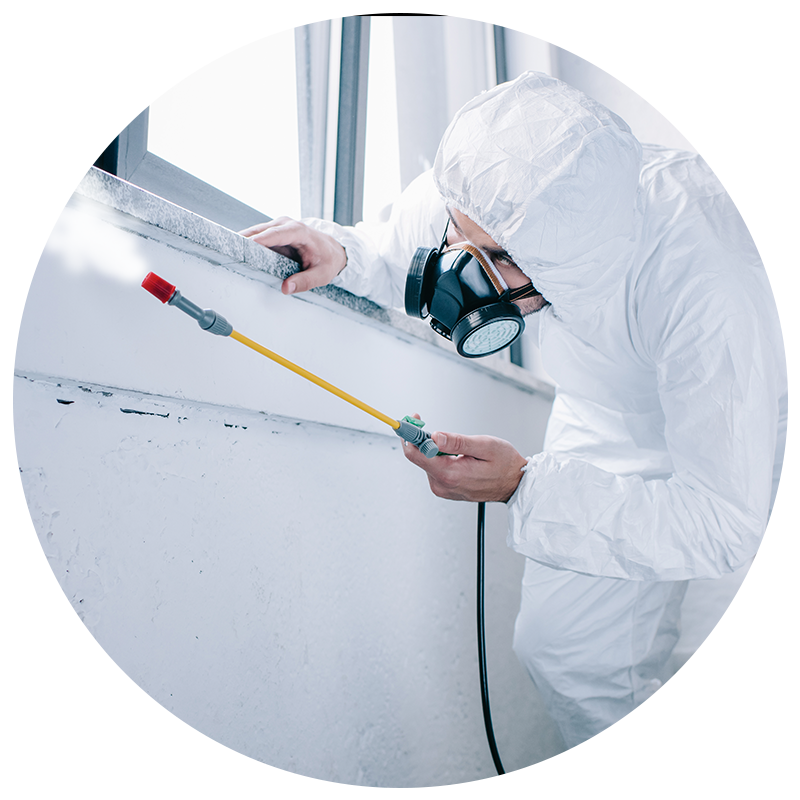 FoggingTreatments